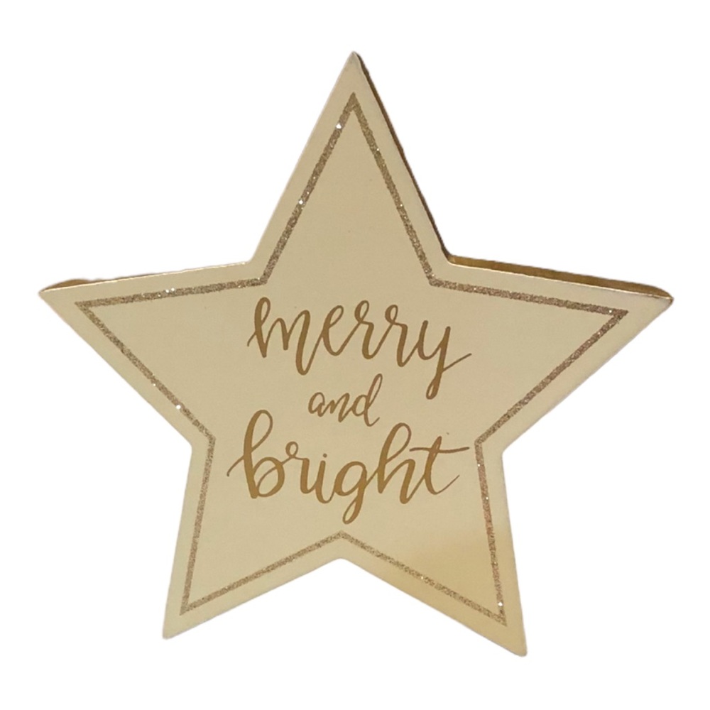 “Merry and Bright” Star Christmas Decor EUC